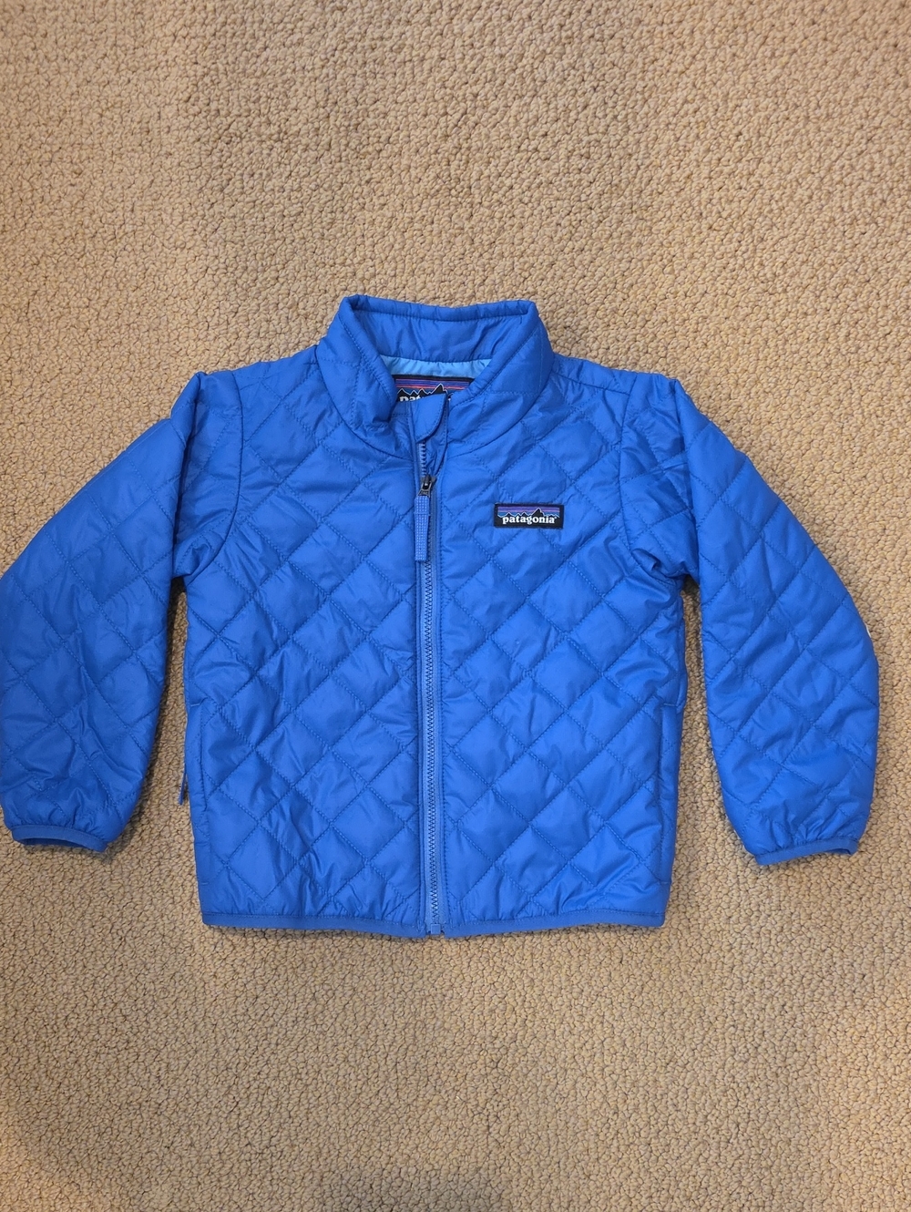 Nwt, Patagonia Kids Nano Puff Jacket, Size 2T, Color Eddy Blue